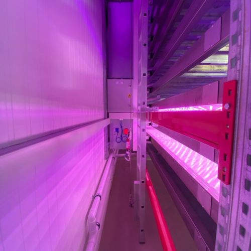 sermag et epis bucy le long