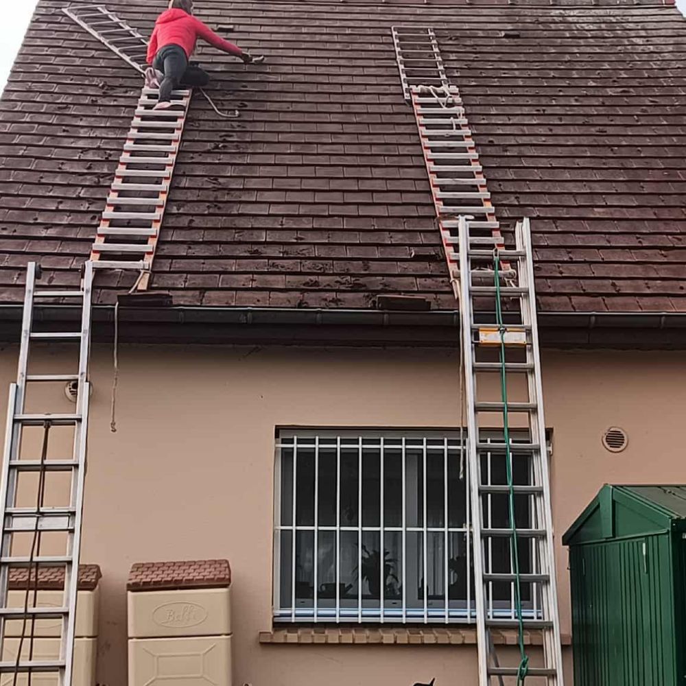 couverture zingerie frumin bucy le long