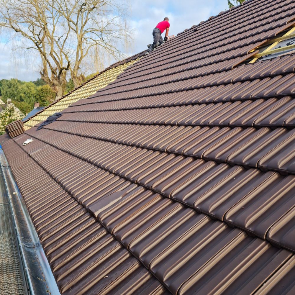 couverture zingerie frumin bucy le long