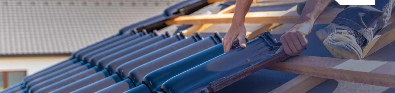 couverture zingerie frumin bucy le long